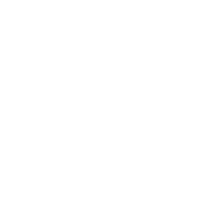 BS Transporte e Logística